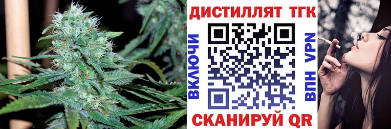 ТГК концентрат  купить   Будённовск 